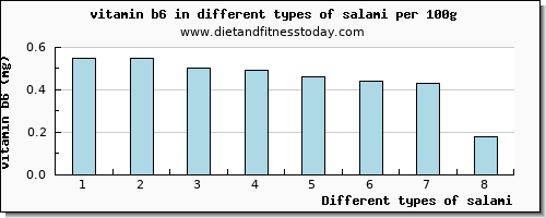 salami vitamin b6 per 100g